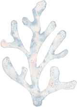 Blue Coral icon