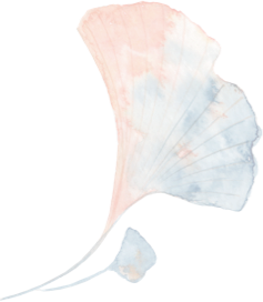 Multi-Color Leaf icon